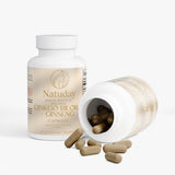 Ginkgo Biloba + Ginseng